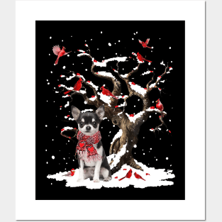 Black Chihuahua Scarf Cardinal Snow Christmas Posters and Art